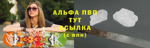 амф Арсеньев