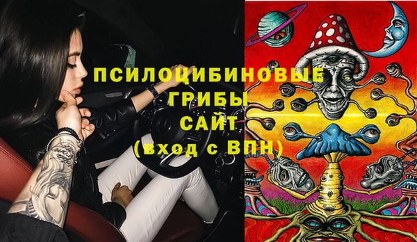 амф Арсеньев