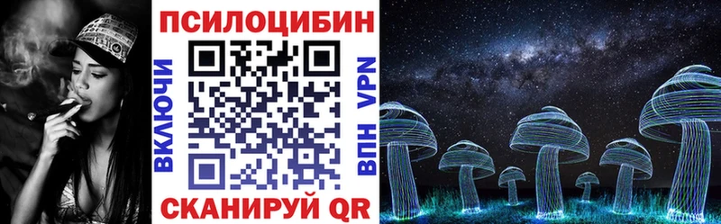 Галлюциногенные грибы Psilocybe  Купить закладки  Бежецк 